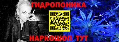 spice Краснознаменск