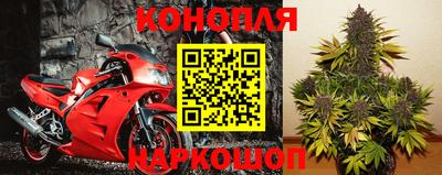 spice Краснознаменск