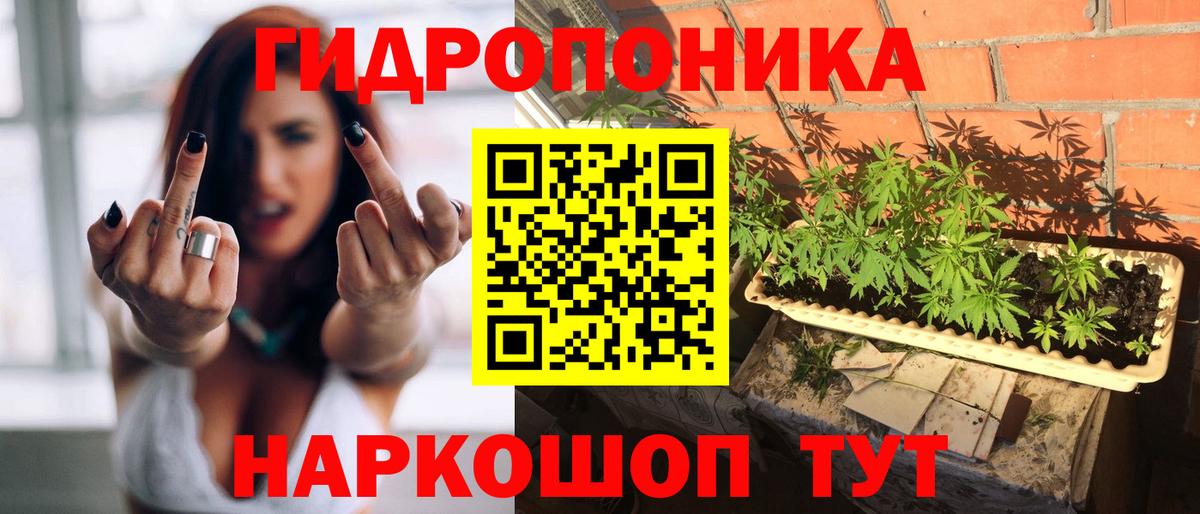 Канабис LSD WEED  Конопля гибрид  Валуйки  Каннабис семена  Вход с VPN 